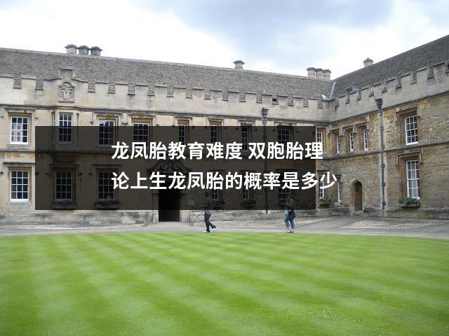 龙凤胎教育难度 双胞胎理论上生龙凤胎的概率是多少