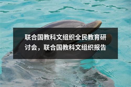 联合国教科文组织全民教育研讨会,联合国教科文组织报告