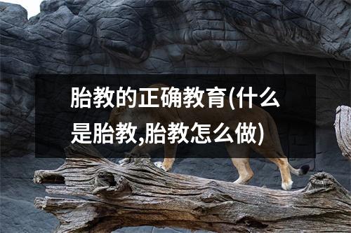 胎教的正确教育(什么是胎教,胎教怎么做)