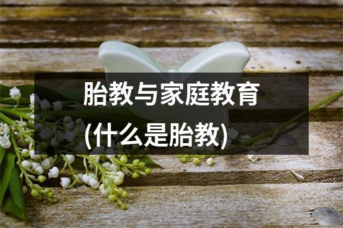 胎教与家庭教育(什么是胎教)