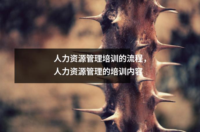 人力资源管理培训的流程，人力资源管理的培训内容