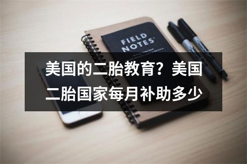 美国的二胎教育?美国二胎国家每月补助多少