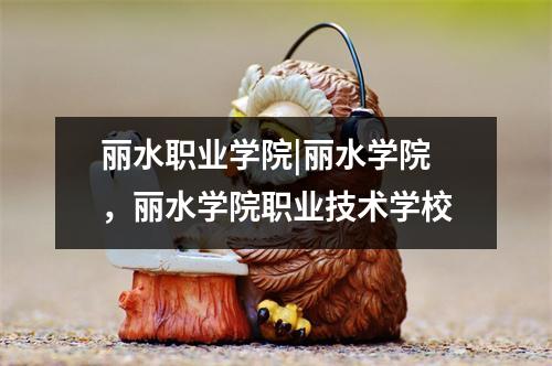 丽水职业学院|丽水学院，丽水学院职业技术学校