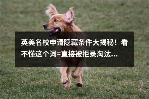 英美名校申请隐藏条件大揭秘！看不懂这个词=直接被拒录淘汰？