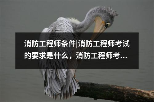 消防工程师条件|消防工程师考试的要求是什么，消防工程师考试有什么条件