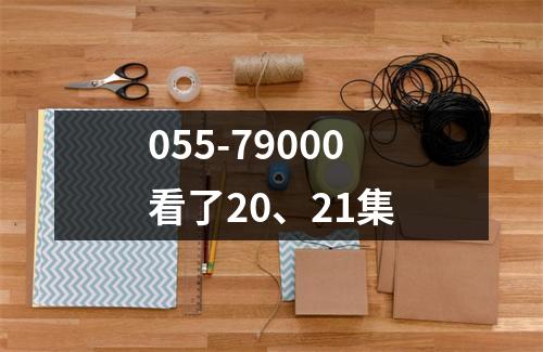 055-79000看了20、21集