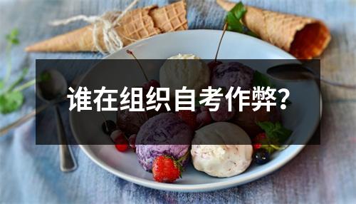 谁在组织自考作弊？