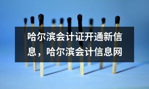 哈尔滨会计证开通新信息,哈尔滨会计信息网