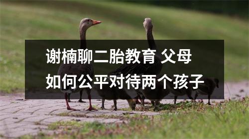 谢楠聊二胎教育 父母如何公平对待两个孩子