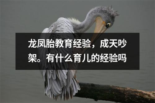 龙凤胎教育经验，成天吵架。有什么育儿的经验吗