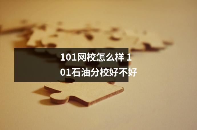 101网校怎么样 101石油分校好不好