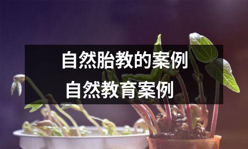 自然胎教的案例 自然教育案例