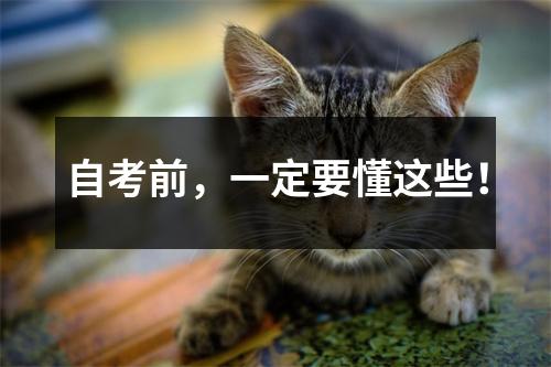 自考前，一定要懂这些！