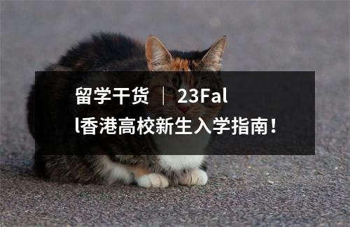 留学干货 | 23Fall香港高校新生入学指南!