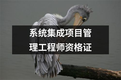 系统集成项目管理工程师资格证