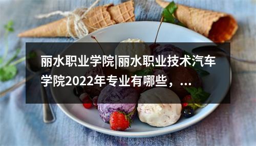 丽水职业学院|丽水职业技术汽车学院2022年专业有哪些,丽水职业技术学院千万别来