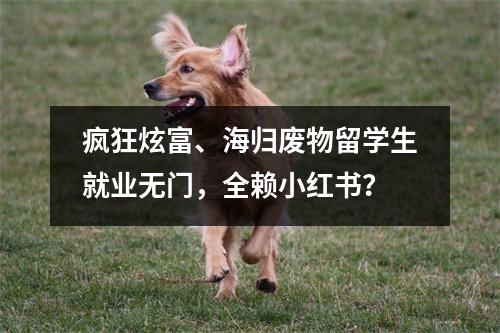 疯狂炫富、海归废物留学生就业无门,全赖小红书?
