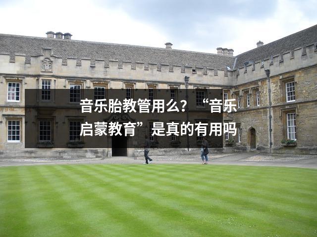 音乐胎教管用么？“音乐启蒙教育”是真的有用吗