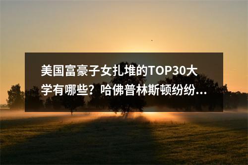 美国富豪子女扎堆的TOP30大学有哪些?哈佛普林斯顿纷纷落榜