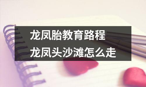 龙凤胎教育路程 龙凤头沙滩怎么走