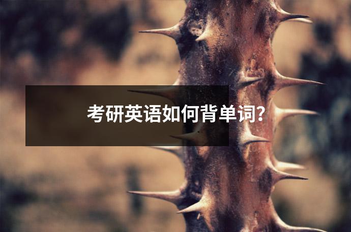 考研英语如何背单词?
