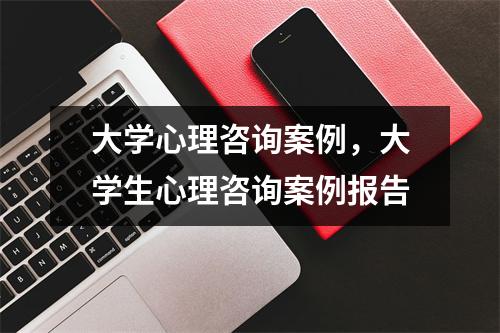 大学心理咨询案例，大学生心理咨询案例报告
