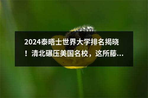 2024泰晤士世界大学排名揭晓!清北碾压美国名校,这所藤校掉出前150…