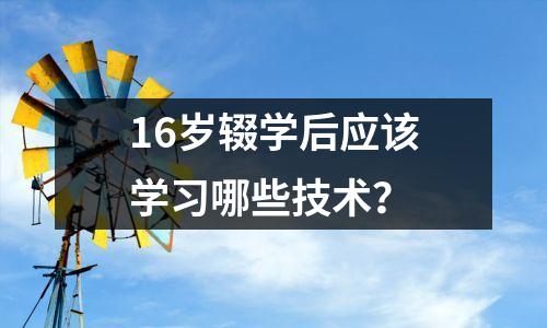16岁辍学后应该学习哪些技术?