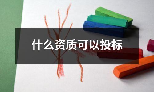 什么资质可以投标