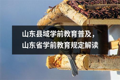 山东县域学前教育普及,山东省学前教育规定解读