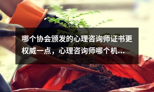 哪个协会颁发的心理咨询师证书更权威一点，心理咨询师哪个机构颁发的含金量高