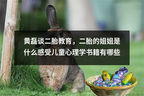 黄磊谈二胎教育，二胎的姐姐是什么感受儿童心理学书籍有哪些