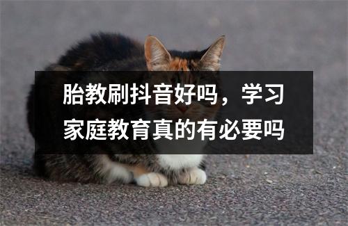 胎教刷抖音好吗，学习家庭教育真的有必要吗