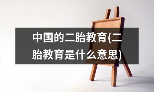 中国的二胎教育(二胎教育是什么意思)