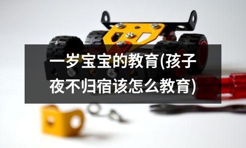 一岁宝宝的教育(孩子夜不归宿该怎么教育)