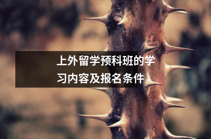 上外留学预科班的学习内容及报名条件