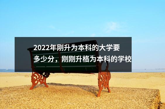 2022年刚升为本科的大学要多少分,刚刚升格为本科的学校