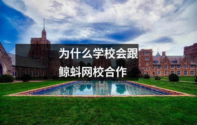为什么学校会跟鲸蚪网校合作