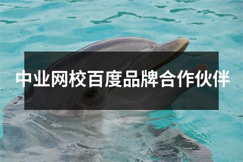 中业网校百度品牌合作伙伴