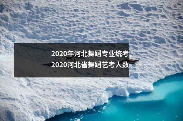 2020年河北舞蹈专业统考,2020河北省舞蹈艺考人数