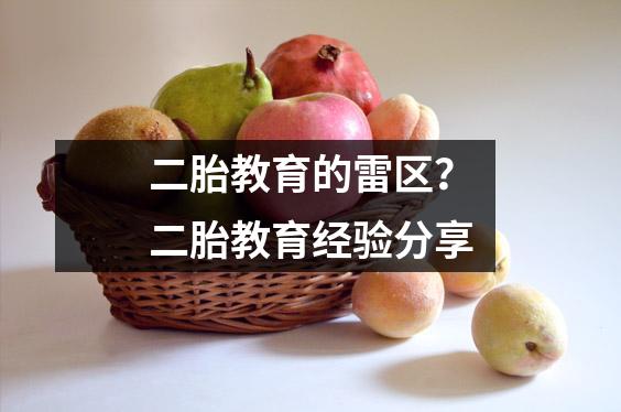 二胎教育的雷区?二胎教育经验分享