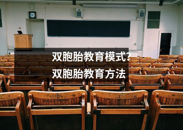 双胞胎教育模式?双胞胎教育方法