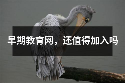早期教育网,还值得加入吗