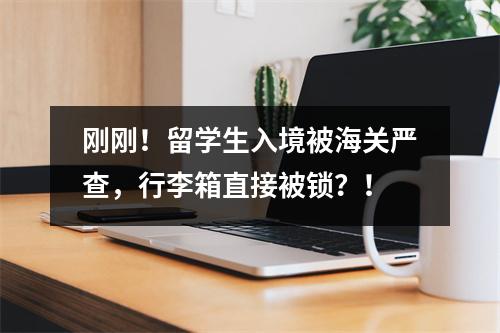 刚刚!留学生入境被海关严查,行李箱直接被锁?!