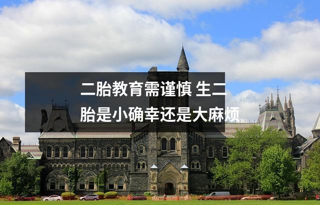 二胎教育需谨慎 生二胎是小确幸还是大麻烦