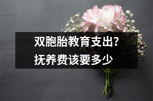 双胞胎教育支出?抚养费该要多少