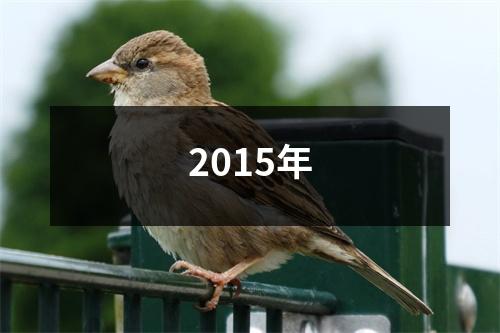 2015年