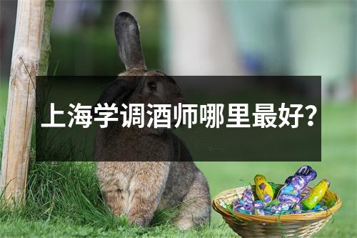 上海学调酒师哪里最好?