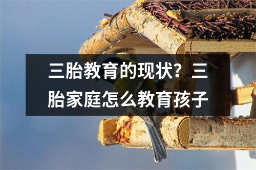 三胎教育的现状?三胎家庭怎么教育孩子