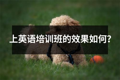 上英语培训班的效果如何？